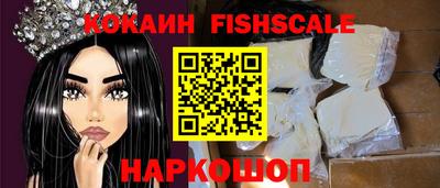гашик Гатчина