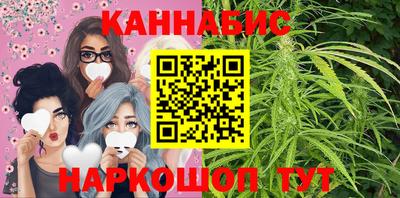 гашик Гатчина
