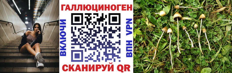 Галлюциногенные грибы Magic Shrooms  купить наркотик  Бор 