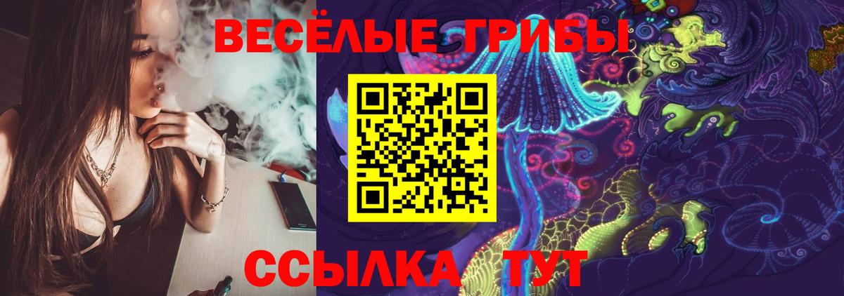 Псилоцибиновые грибы GOLDEN TEACHER Бор