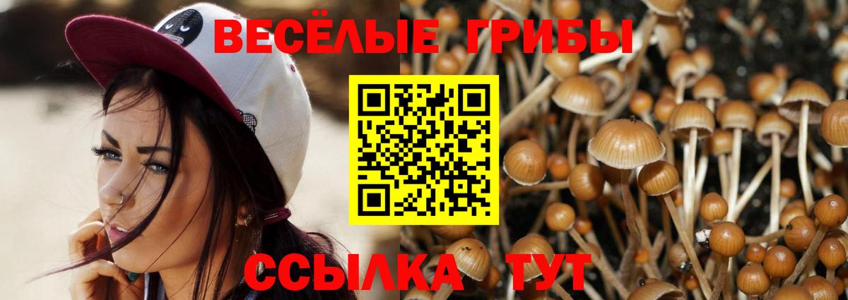Псилоцибиновые грибы MAGIC MUSHROOMS  Вход с VPN  Бор 