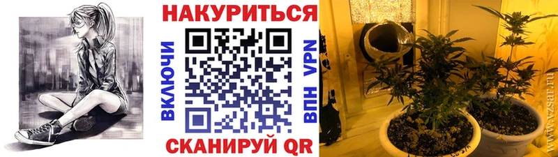 цены наркотик  Бор  Каннабис OG Kush 